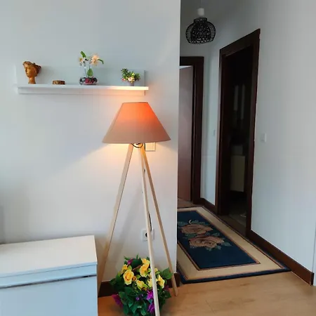 Lux,comfortable,spacious,central,cozy,large Rezidans *