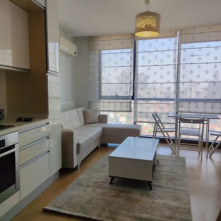 Apartamento Lux,comfortable,spacious,central,cozy,large Rezidans Istambul