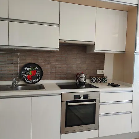 Lux,comfortable,spacious,central,cozy,large Rezidans Apartamento *
